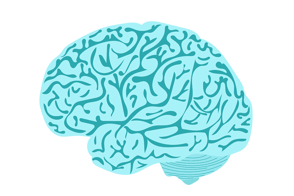 illustration of the brain's neural pathways