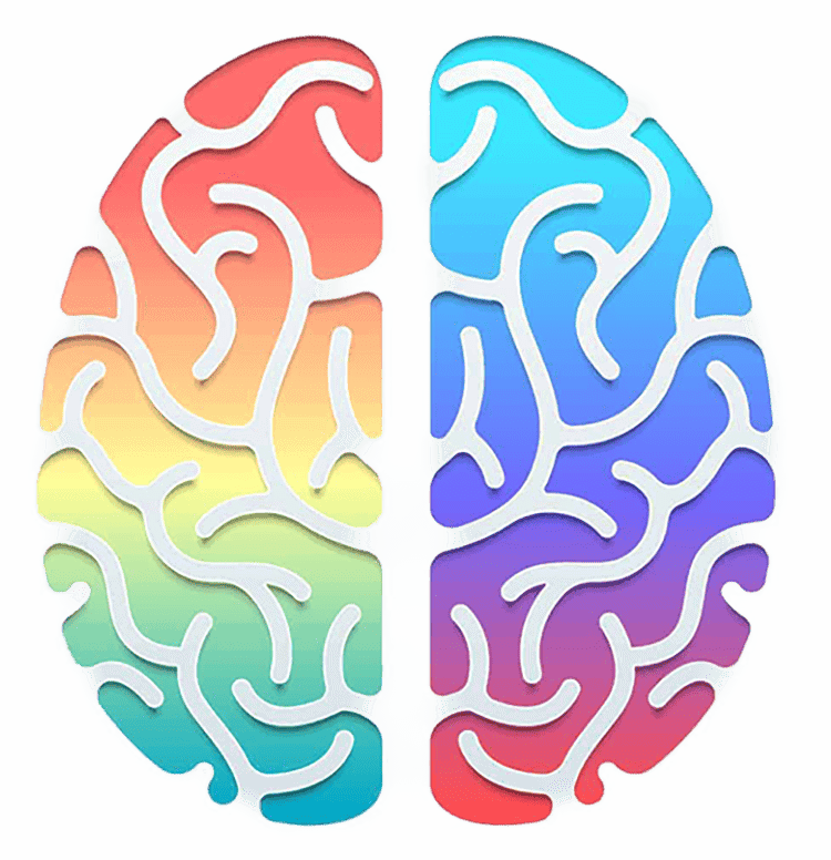 human brain left and right hemispheres