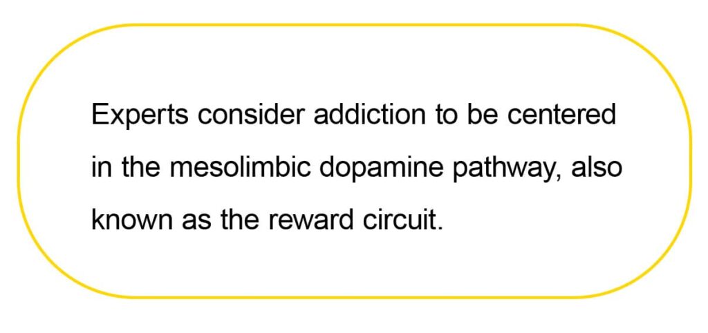 Experts consider addiction to be centered 
in the mesolimbic dopamine pathway, also 
known as the reward circuit.